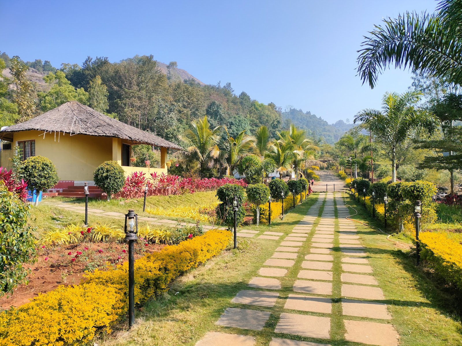 Cobblestone Pathways under Clear Araku Skies