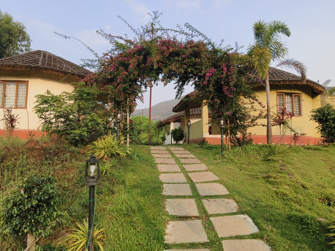 Under the Bougainvillea Floral Canopy