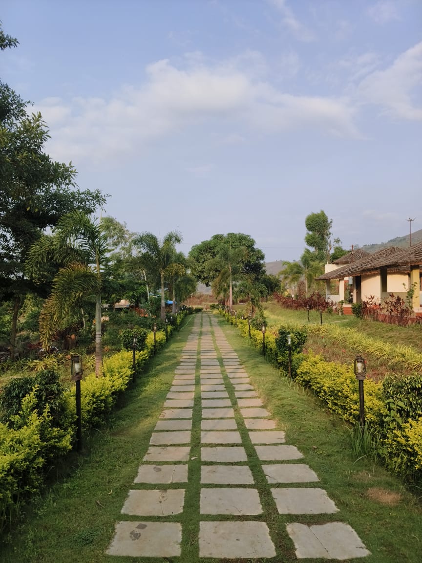 Stone pathway lined with vintage lanterns